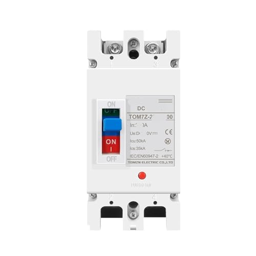 Disjoncteur à boîtier moulé 2P 600V conçu en matériaux durables pour haute intensité 250A