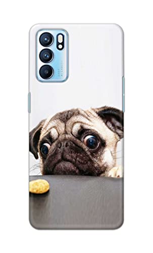 Image of PRINTFIDAA� Printed Hard Back Cover Case for Oppo Reno6 5G | Oppo Reno 6 5G Back Cover (Pug Dog) -2808