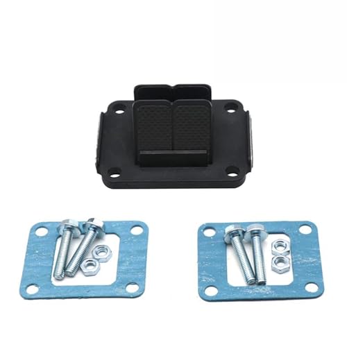 Clapets d'admission VF3 en carbone résout trou accélération KX85 - 2