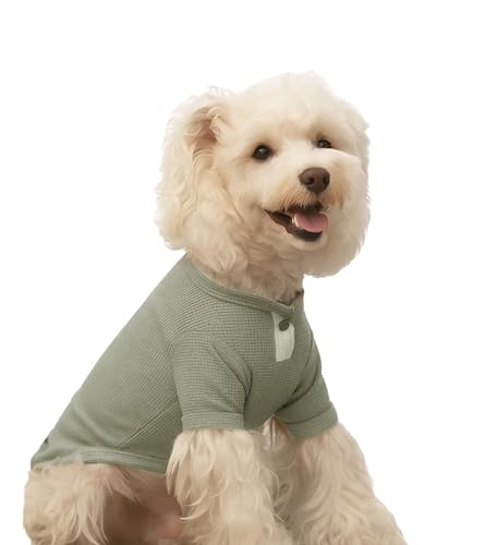 HOLYCAT 犬の服 犬用Tシャツ メッシュ