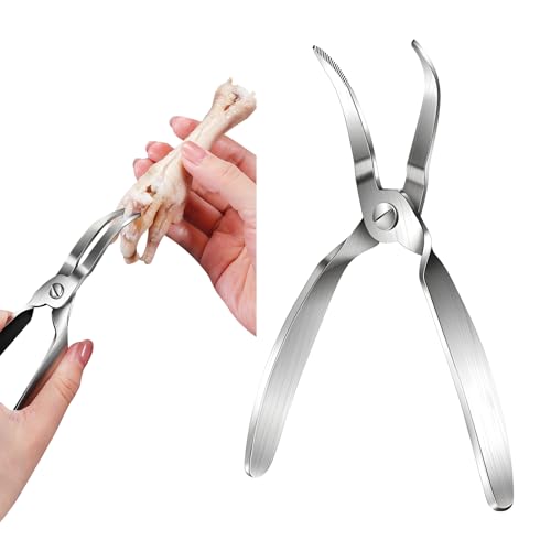 Doyeemei Ɩp ̍  ̍ \ XeX| Vo[ ̍ y`