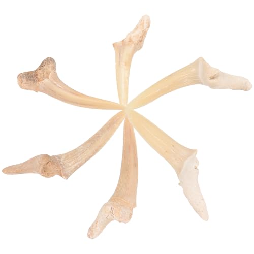 [Yardenfun] T̎̃lbNX Y j̎qpy_glbN`F[ ߉\ȃfUCxt@bV 6Zbg