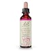 Bach Original Flower Remedy Dropper, 20 ml, Star of Bethlehem Flower Essence