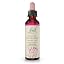 Star Of Beth 20ml