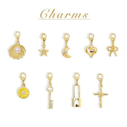 Raicegs Charm Bracelet for Women Gold Bracelet Chain Link Bracelet Summer Beach Jewelry Gift for Women3