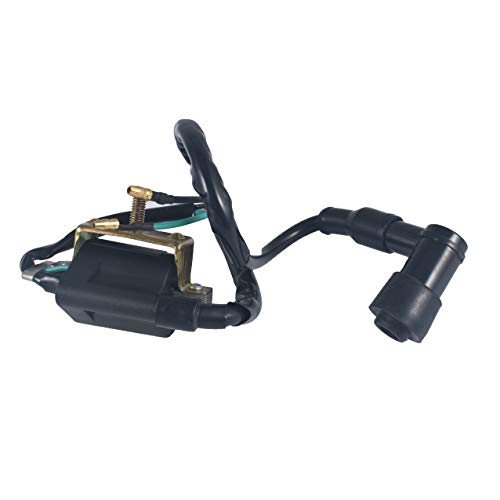 Complete Electrics Stator Coil CDI Wiring Harness Kits Aftermarket Replacement Parts Fit for 50cc 70cc 110cc 125cc ATV Quad 4 Wheeler Dirt Pit Bikes