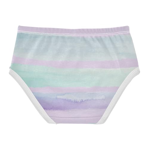 Organic Cotton Panties Soft Panties Briefs Underwear for Toddlers in Sizes 2T,3T, 4T, 5T, 6Y and 8Y2