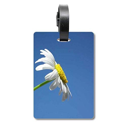 Étiquette de bagage tournesol bleu ciel multicolore taille M