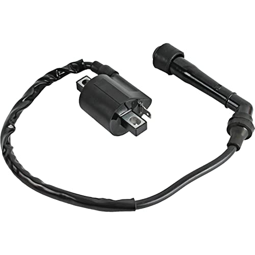 Db Electrical 160-01068 Atv Ignition Coil Compatible With/Replacement For Yamaha Big Bear 400 2000-12 12-Volt, 5Fu-82310-00-00, 160-01068 #TOP1