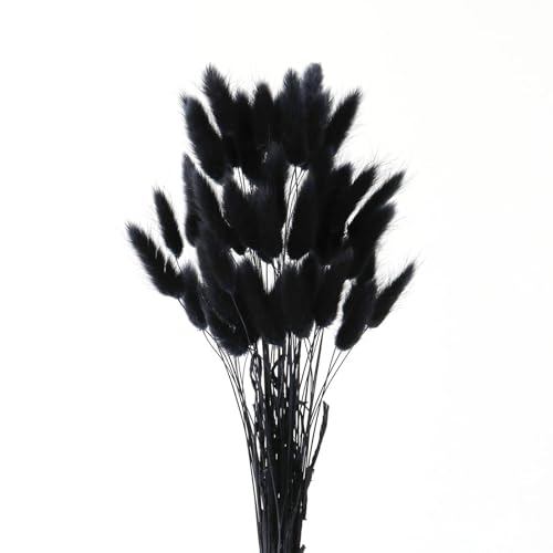 IOPJLK 50 Pezzi Erba Pampas Nera Secca Naturale Decorazione Boho per Salotto Bouquet di Fiori Secchi per Vaso Vaso da Terra 25 a 40 cm Lunghezza DIY