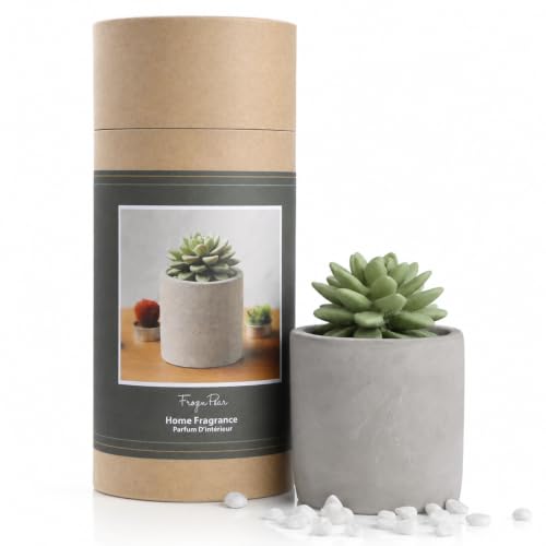 Difusor de Aroma Pretty Valley Home Succulent Gypsum Cerámico miniatura 1