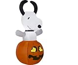 Snoopy in Pumpkin