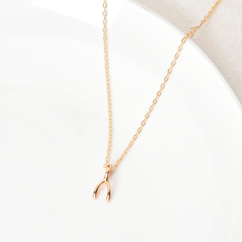 Golden Wishbone Necklaces for Women Girlfriend Anniversary Birthday Gift for Wife Bday Gift for Best Friend Sister Graduation Christmas Gifts for Daughter Granddaughter Wishbone Pendant Nekclace4