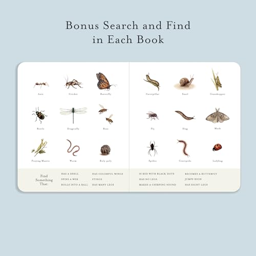 Image of Our Little Library Vol. 3: Dinosaurs, Space, Tools, Bugs, and Sports Board Book Set for Boys & Girls (Tabitha Paige Children's Book Series)