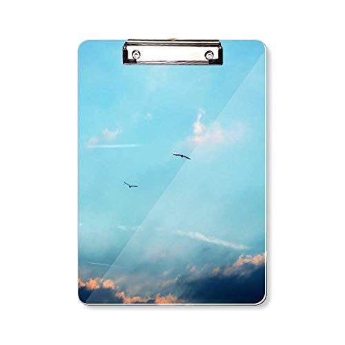 Porte-bloc A4 White Sky Bird avec plaque arrière rigide pour feuilles