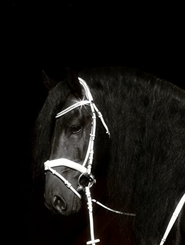 Snow Trense Weiss Glitzer Reitzaum Weiß Zaum + Zügel Ergonomisch VB WB X Full Volti Show Tysons (Vollblut)