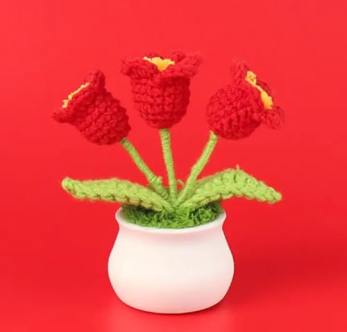 Image of VRB DecTM 1 Pcs Crochet Flowers Artificial Daisy for Office Desk Car Dashboard Decor,Home Decoration, Office, Bedroom, Christmas Decor, Wedding,Diwali (Lily Red Daisy with Pot)