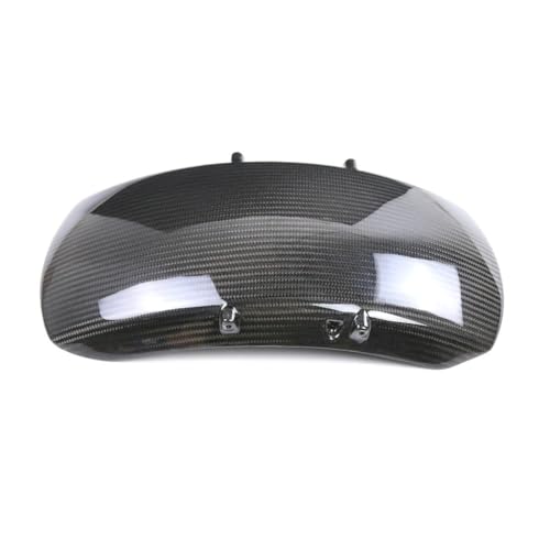 Carénage latéral pour Sportster S 1250 RH1250S 2021-2024 avec cache échappement en carbone
