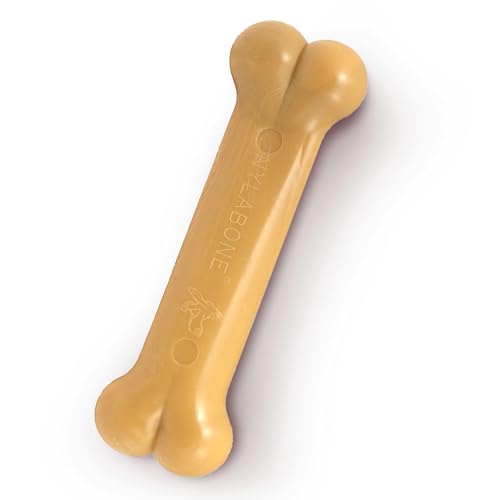 Nylabone Masticabile E Giocattolo per L'Igiene Dentale di Cani Potenti Masticatori, al Gusto di Burro di Arachidi, per Cani Adulti Fino a 16 kg - 16.000g