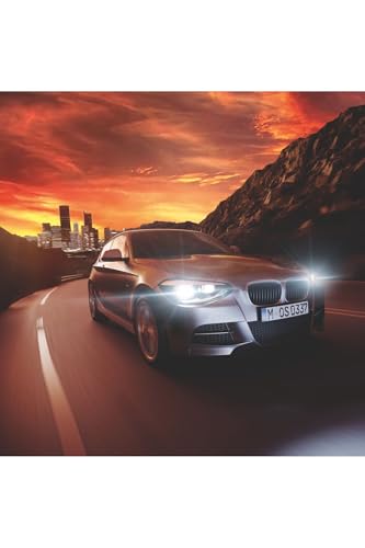D2S Xenon Brenner Osram Xenarc Night Breaker Laser