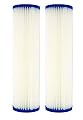 IPW Industries Inc. 2-Pack 5 Micron Pleated Water Filters - 9.75" X 2.75" Sediment Water Filter Replacement - Compatible with WattsWater (WPC5-975)