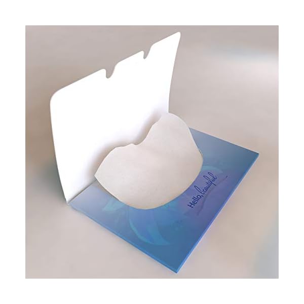 Makeup-Blotting-Papers-200-Oil-Absorbing-Paper-Sheets-for-Face-2-Handy-Packs-of-100 Day By Day Beauty Makeup Blotting Papers 200 Oil Absorbing Paper Sheets for Face (2 Handy Packs of 100) â Face Oil Remover â Oil Blotting Sheets for Face