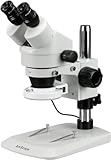 AmScope