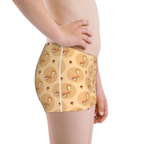 Boys' Cotton Boxer Brief Soft Underwear-Squirrel And Nuts2