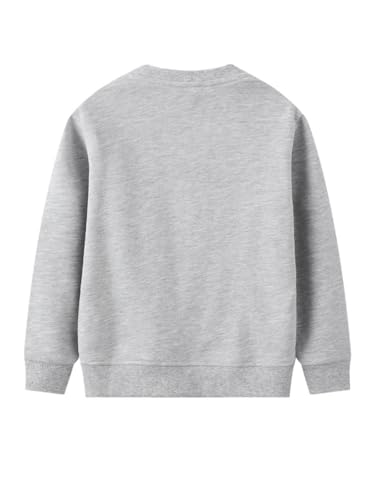 Boys Sweatshirts Casual Sweatshirts Cotton Sweatshirts Long Sleeve T-shirts Crew Neck Cartoon Tops for Boys-7362