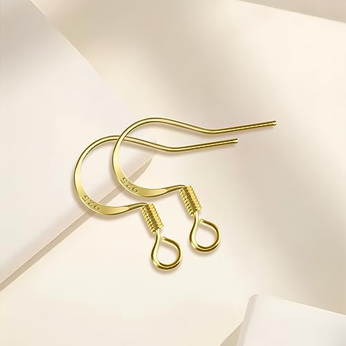 200 PCS/100 Pairs 14K Gold Tone Earring Hooks Hypoallergenic 925 Sterling Silver Plated Ear Wires Fish Hooks with 100 PCS Silicone Ear Backs and Jump Rings Earring Finding for DIY Jewelry Making