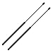 Rear Window Glass Lift Supports Struts Shocks Gas Springs for 1991-2004 Isuzu Rodeo,1994-2005 Honda Passport 4644 PM2013 SG326011,Pack of 2