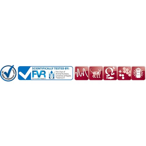 Image of Vet PRO Obesity Pellet Adult Dog Food, Chicken Flavor, 3 KG