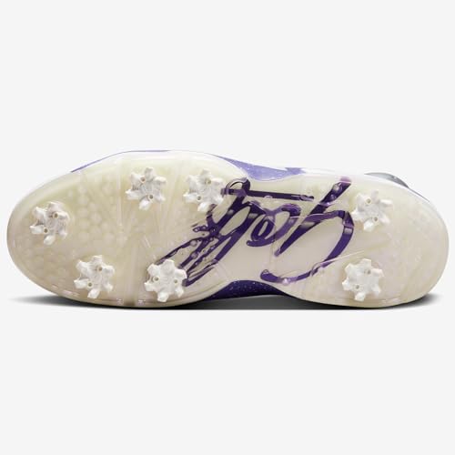 Air Jordan 12 Low (FD0205-055, Metallic Silver/Action Grape) Size 10.54