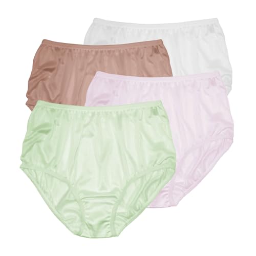 Image of Teri Women's 331 Plain Jane Classic Nylon Silky-Smooth Lightweight Breathable Full Coverage Brief Panty - 4 Pack