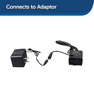 Petsafe replacement pump for pet drinking fountains compatible with petsafe drinkwell ceramic stainless steel and 360 dog and cat water dispensers  pac00 13206   cucciolini doodles