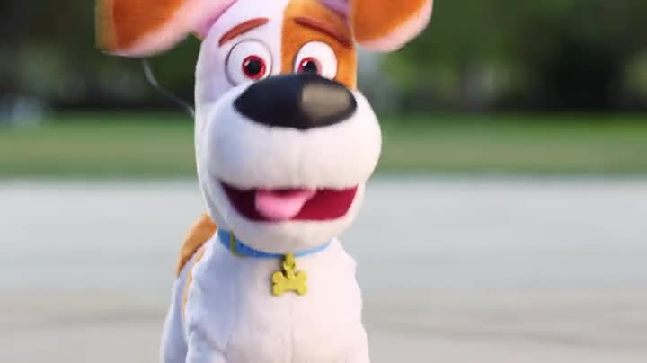 The Secret Life of Pets - Best Friend Max, Figures - Amazon ...