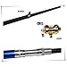 1PC Pen Fishing Pole Mini Pocket Fishing Rod Portable Telescopic Pocket Fishing Pole Fishing Accessory (Black),Fishing Gear