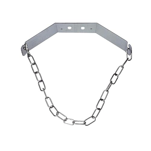 Edelstahl CO2 Flaschenhalter inkl. Kette 2-10 kg | Wandhalter für Mehrwegflaschen | Wandhalter für Co² Kohlensäureflaschen | Gasflaschen Lagerung für Wassersprudler und Tafelwasseranlage