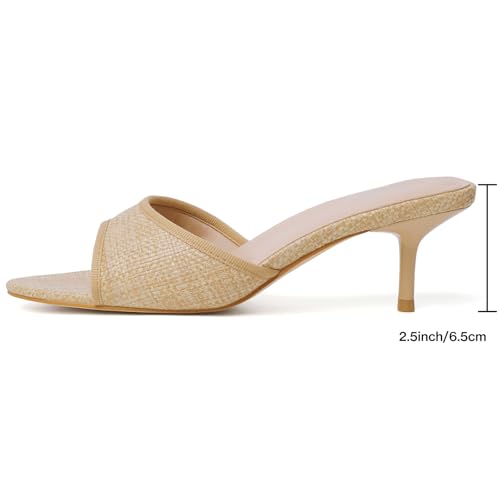 Image of Mostrin Kitten Heels for Women Pointed Toe Vintage Mules Heels Sexy Slip on Stiletto Backless Sandals for Party Wedding Daily