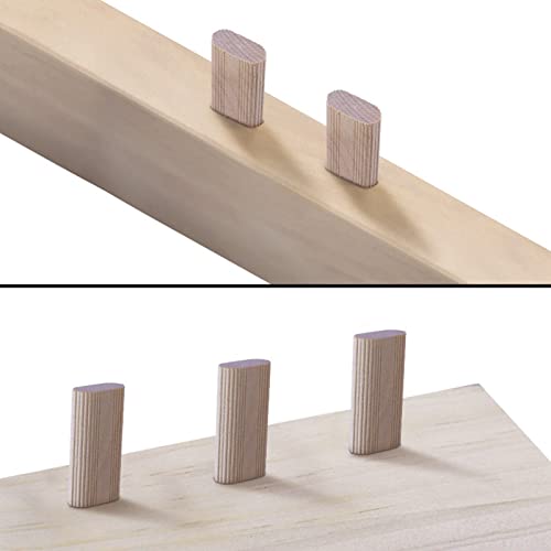 50 Pièces Domino Tenon 10x50mm Tenons en Bois Plat Cheville en Bois de Hêtre Massif Bloc D'insertion de Menon pour le Travail du Bois Meuble D'épissage Fabrication de Cadres