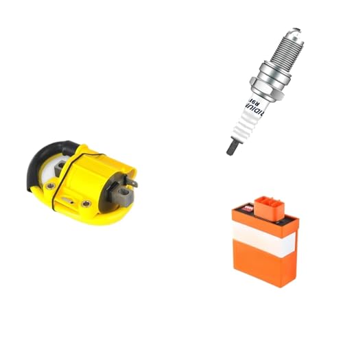 Bobine d'allumage CDI NIBBI pour maximiser la puissance des moteurs tout-terrain NC250