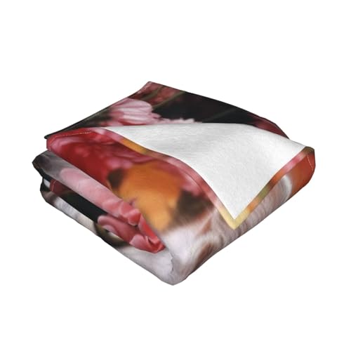 Couverture chat et fleurs en flanelle 152x127 cm pour canapé