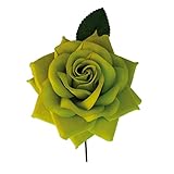 Flor Flamenca, Reina (G, Pistacho)