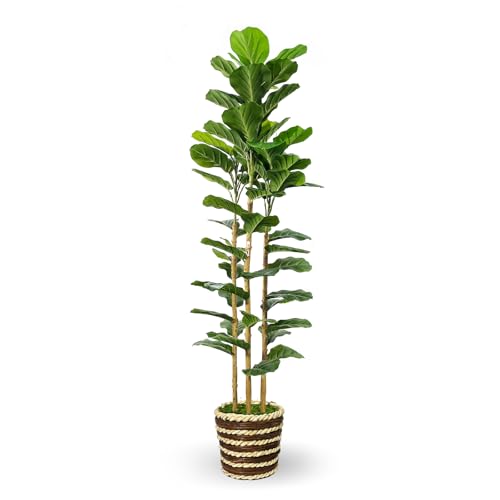 Artificial Fiddle Leaf Fig Tree Indoor with Woven Basket - 5ft Tall Fake Tree with Real-Wood Trunk,Faux Plants for Living Rooms, Offices, Kitchens & Outdoor Spaces (Round Basket)