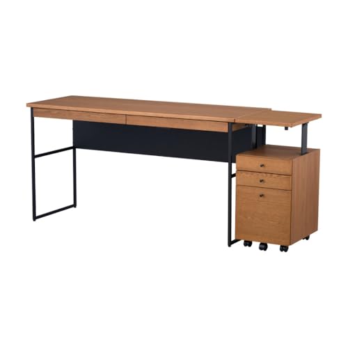 ISSEIKI �ySET�zFERRO-2 DESK 140+WAGON 35 2�_SET �w�K�f�X�N �w�K�� �Z�b�g 2�_�Z�b�g �׋��� �� ���� pc ���֊� ������ �f�X�N���S�� �T�C�h���S�� �T�C�h�`�F�X�g ���S�� ���~ �L���X�^�[ �����o�� �R��