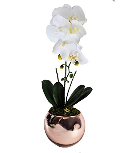 Arranjo Orquídea Toque Real Em Vaso De Vidro Espelhado Rose
