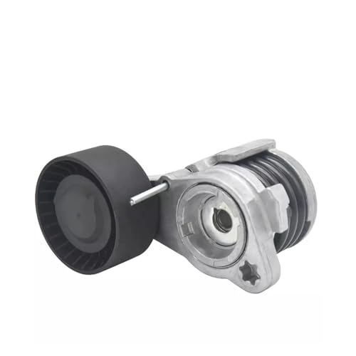 Poulie de tension de courroie alternateur BMW X3 F25 N52 N53 de 2008 à 2015 OEM 11288620022