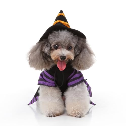 Disfraz Halloween de mago para perros tamaño M miniatura 3