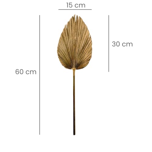 La mejor selección de Hojas secas - los preferidos. 11 Imagen adicional