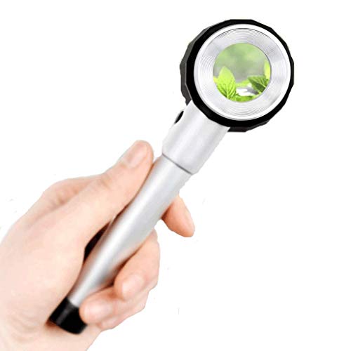 Loupe pour lecture et bijoux compacte pour vos examens quotidiens